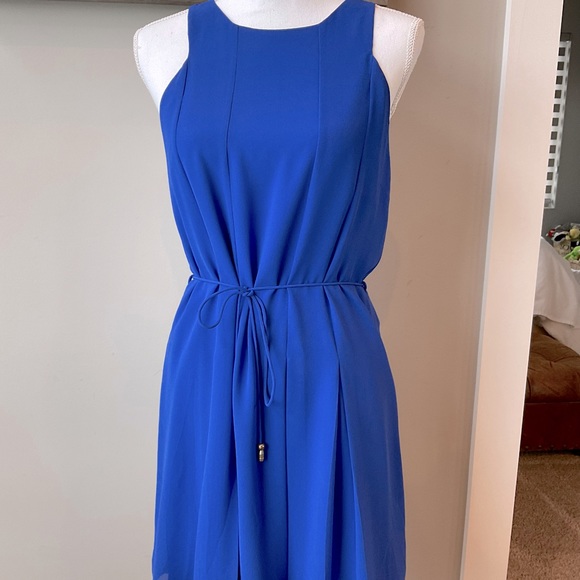 Naked Zebra Dresses & Skirts - Naked Zebra Dress